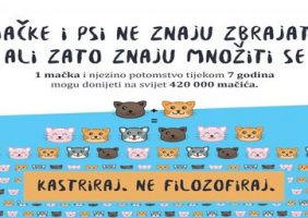 Macke-i-psi-ne-znaju-zbrajati