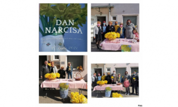 dan narcisa
