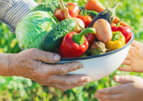 naslovna poljoprivreda