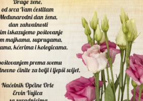 dan žena orle naslovna